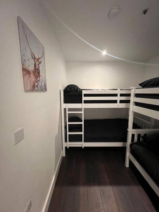 Lovely Sleep 8 Flat 20 Mins Central London Bp153 エクステリア 写真